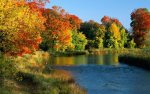 lake foliage.jpg