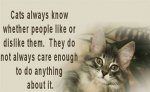 Cats Always...jpg