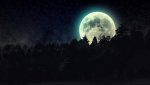 full moon over pine trees.jpg