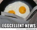 eggcellent news.jpg