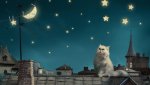 cat looking at moon.jpg