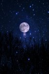 moon and stars-1.jpg