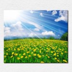 The-font-b-sun-b-font-font-b-shines-b-font-flowers-photo-canvas-painting-print.jpg