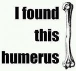 Humerus.jpg