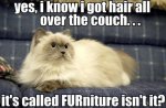 FUR-niture.jpg