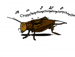 FieldCricket.png