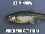 Let Minnow.jpg