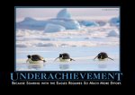 underachievementpenguindemotivator_large.jpeg