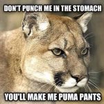 make me puma pants.jpg