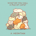 Meowtain.gif