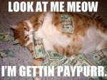 Paypurr.jpg