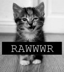 Rawwr.jpg