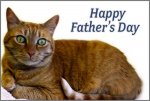 NEAS_FathersDay2012_Cat.jpg