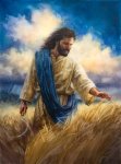 yeshua_harvest.jpg