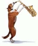 DOGsax.gif