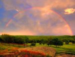 Beautiful_Rainbow_Photography_19.jpg