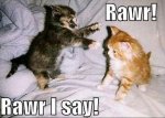 I Say Rawr.jpg