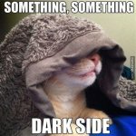 dark side cat.jpg