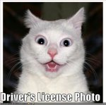 driver's license photo.jpg