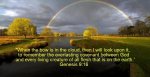 Genesis 9v16.jpg