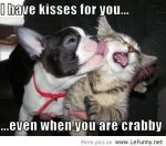 crabby kisses.jpg