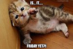 26926-Is-It-Friday-Yet.jpg