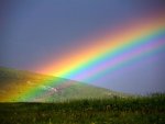 rainbow-2-537x402.jpg