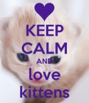 keep-calm-and-love-kittens-242.jpg