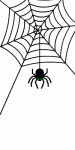 spider.gif