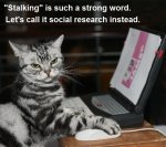 stalking.jpg