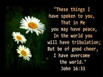 John 16v33-1.jpg