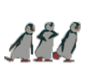 ththdancingpenguins1.gif