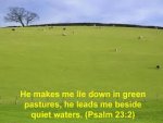 Psalm 23v2.jpg