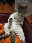 Funny-Pajamas-9.jpg