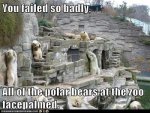 bears-fail.jpg