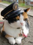 station-master-tama-3.jpg