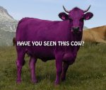 PurpleCow2.jpg