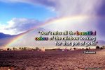 colors of the rainbow-1.jpg