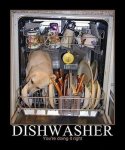 3212648877_dishwasherdog_xlarge.jpeg