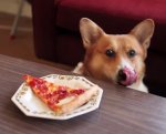 pizza2.jpg