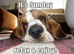 Its-sunday-funny-dog.jpg