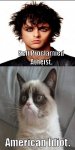 greenday vs grumpy cat.jpg