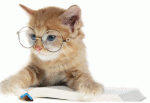 book cat.gif