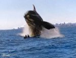 whale-attack-picture.jpg