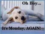 169401-Oh-Boy-Its-Monday-Again.jpg