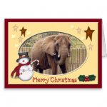 african_elephant_christmas_greeting_card-r9dd30ca6027a49ac8b51999e7c85093a_xvuak_8byvr_324.jpg