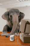 elephanttyping.gif