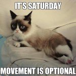 319558-grumpy-cat-its-saay.jpg