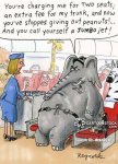 animals-elephant-jumbo_jet-complaint-complain-peanut-dren278_low.jpg