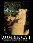 Zombie Cat.jpg